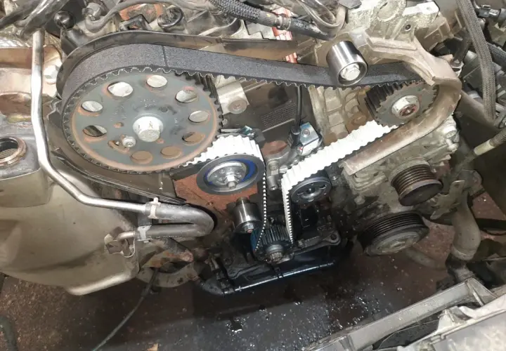 Silnik 2.0 TDI z widocznym paskiem pompy oleju. Wymiana paska pompy oleju 2.0 TDI co ile? Sprawdź stan paska i napinaczy.