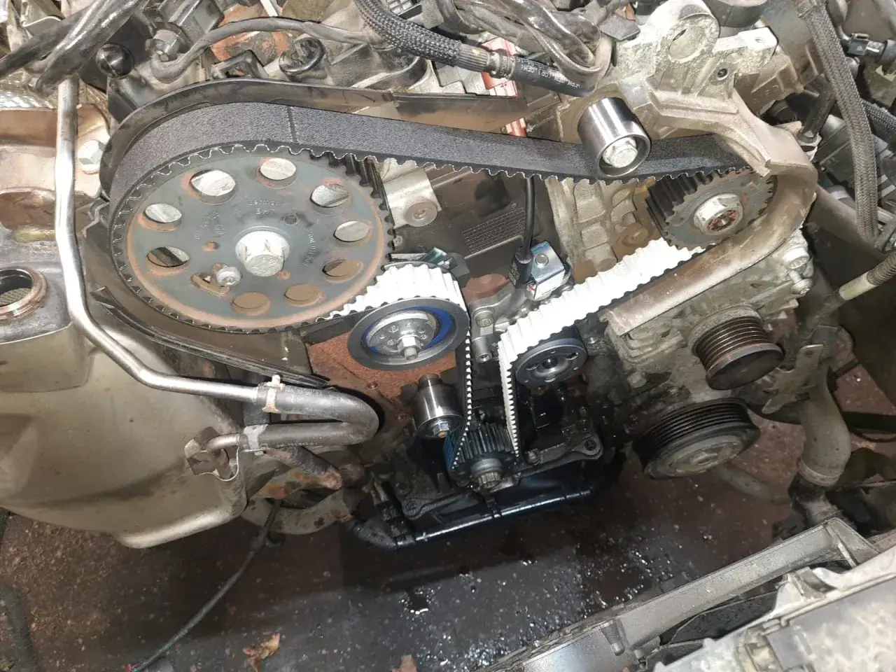 Silnik 2.0 TDI z widocznym paskiem pompy oleju. Wymiana paska pompy oleju 2.0 TDI co ile? Sprawdź stan paska i napinaczy.